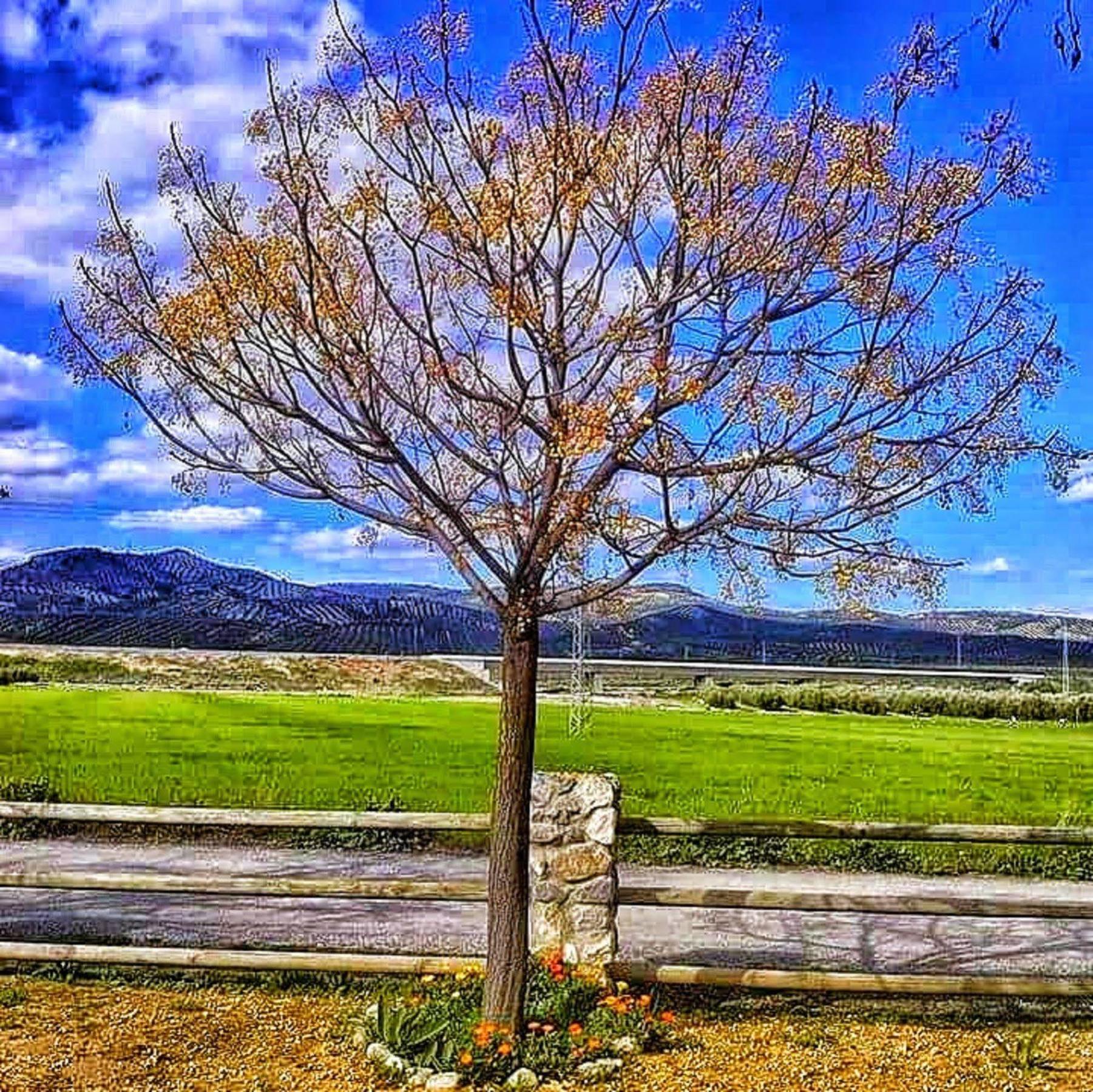 Alojamiento Rural El Cortijuelo Hotel Illora Exterior foto